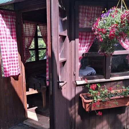 Charmante Ferienwohnung 3 Zimmer Kueche Bad Zentrale Lage Hagen im Bremischen 외부 사진