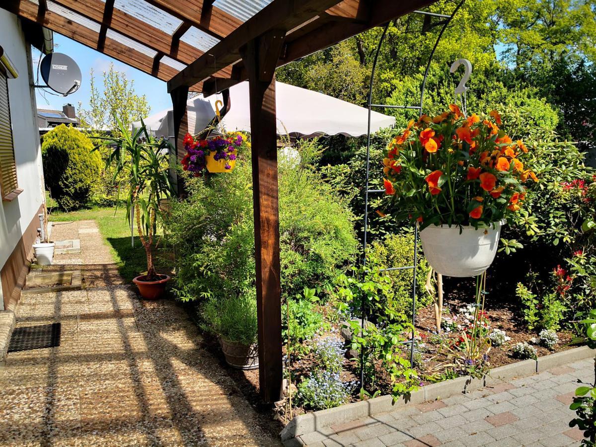 Charmante Ferienwohnung 3 Zimmer Kueche Bad Zentrale Lage Hagen im Bremischen 외부 사진